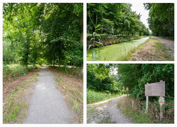 Medium property photo - Malledijk 12, 3208 LA Spijkenisse